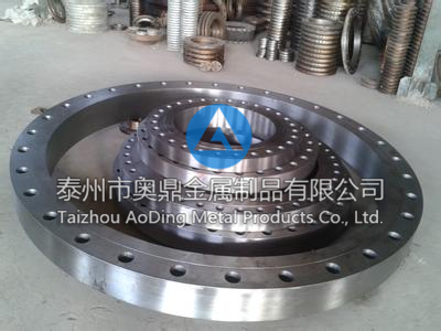 Large diameter flange